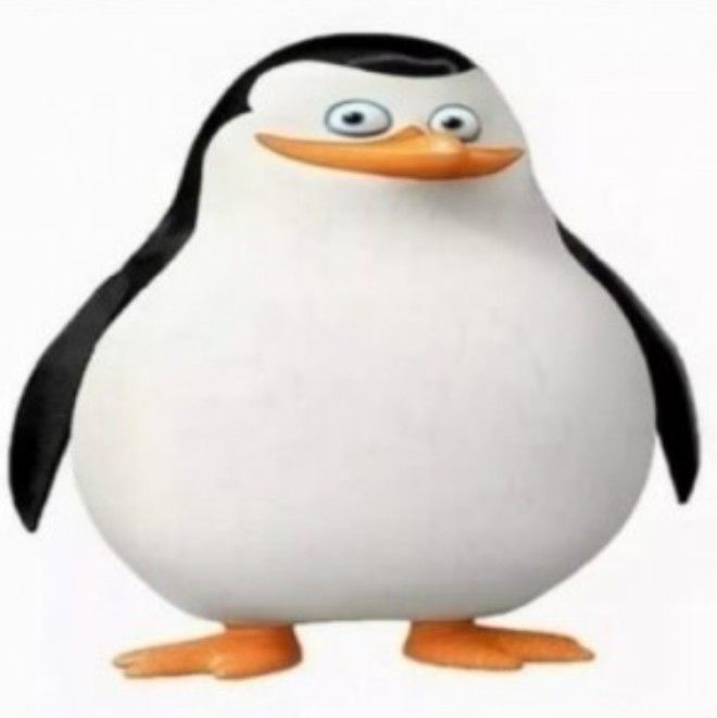 pengwin