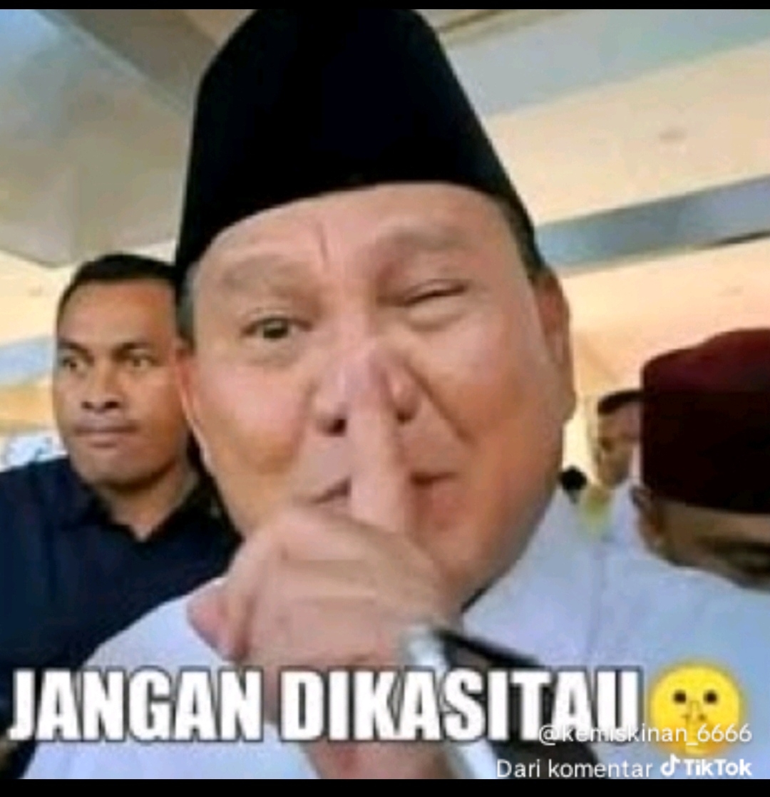 hamzol